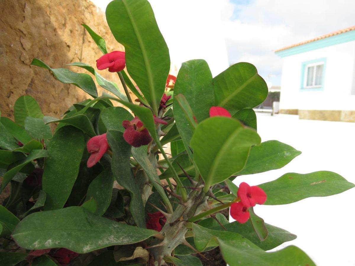 NÁUTICO Boutique Apartments, by Comfortable Luxury - Adults Only Corralejo Exterior foto
